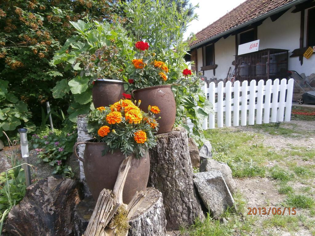 Straznica Komtura Mikołajki Exteriör bild