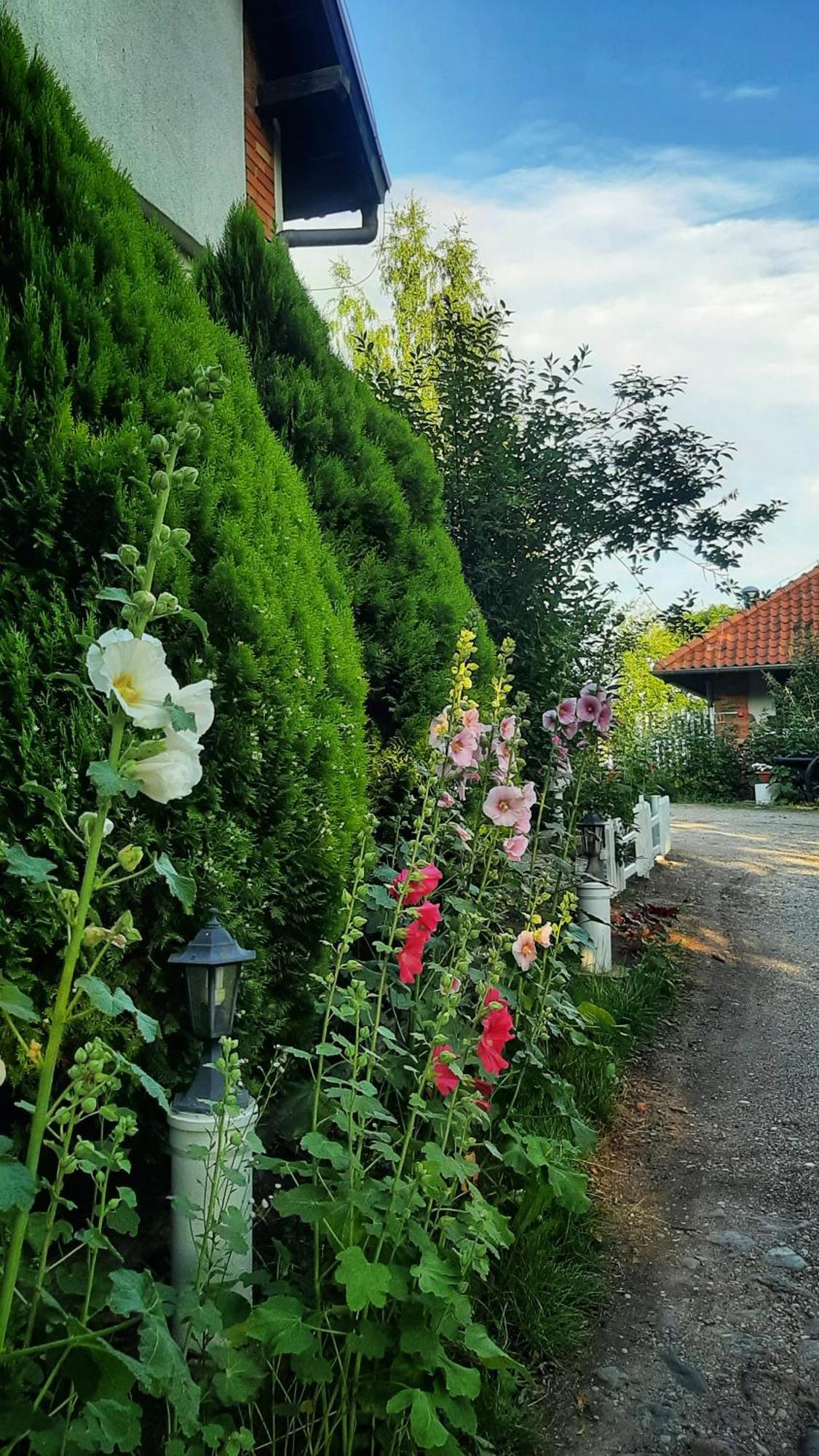 Straznica Komtura Mikołajki Exteriör bild