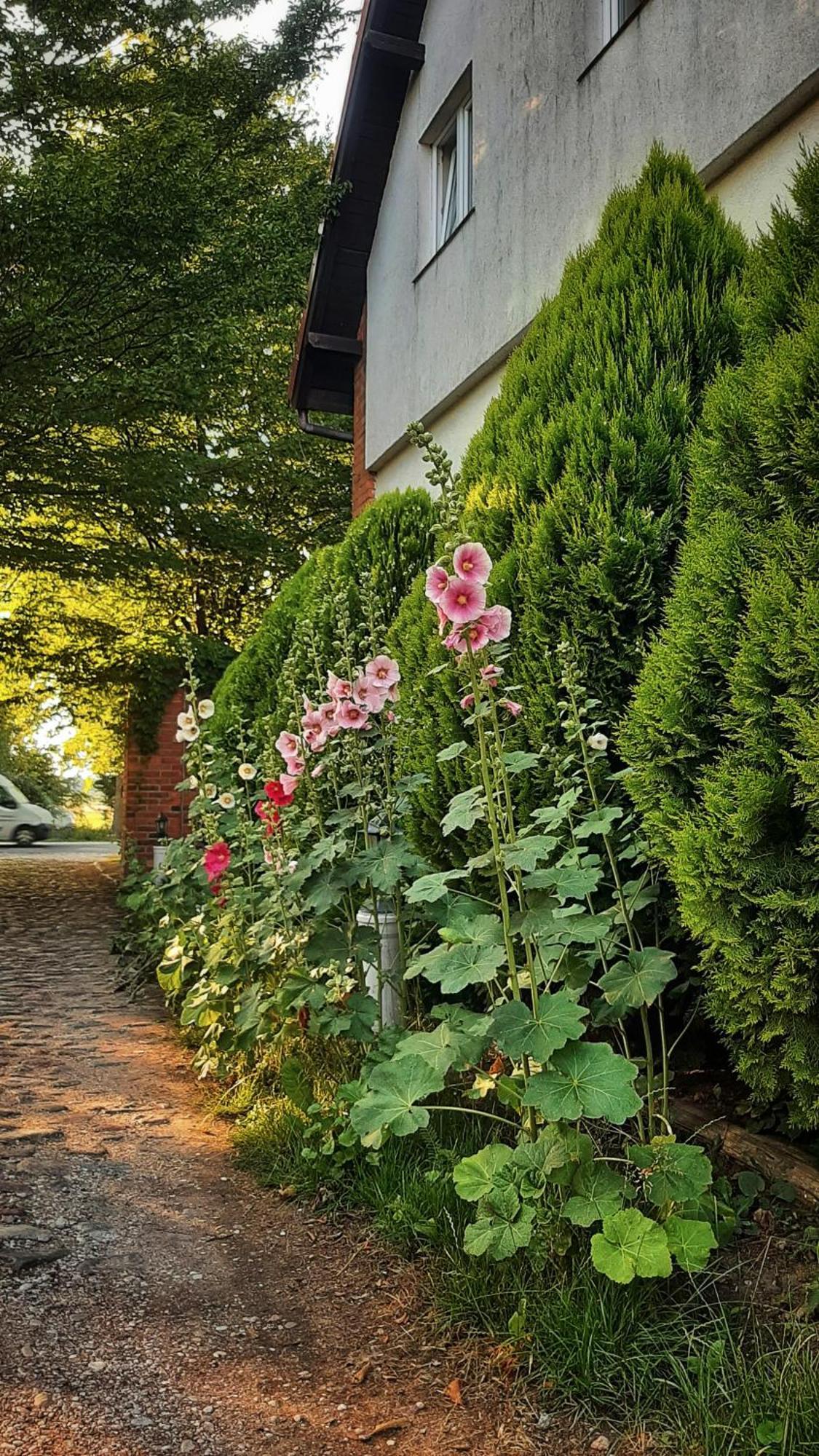 Straznica Komtura Mikołajki Exteriör bild