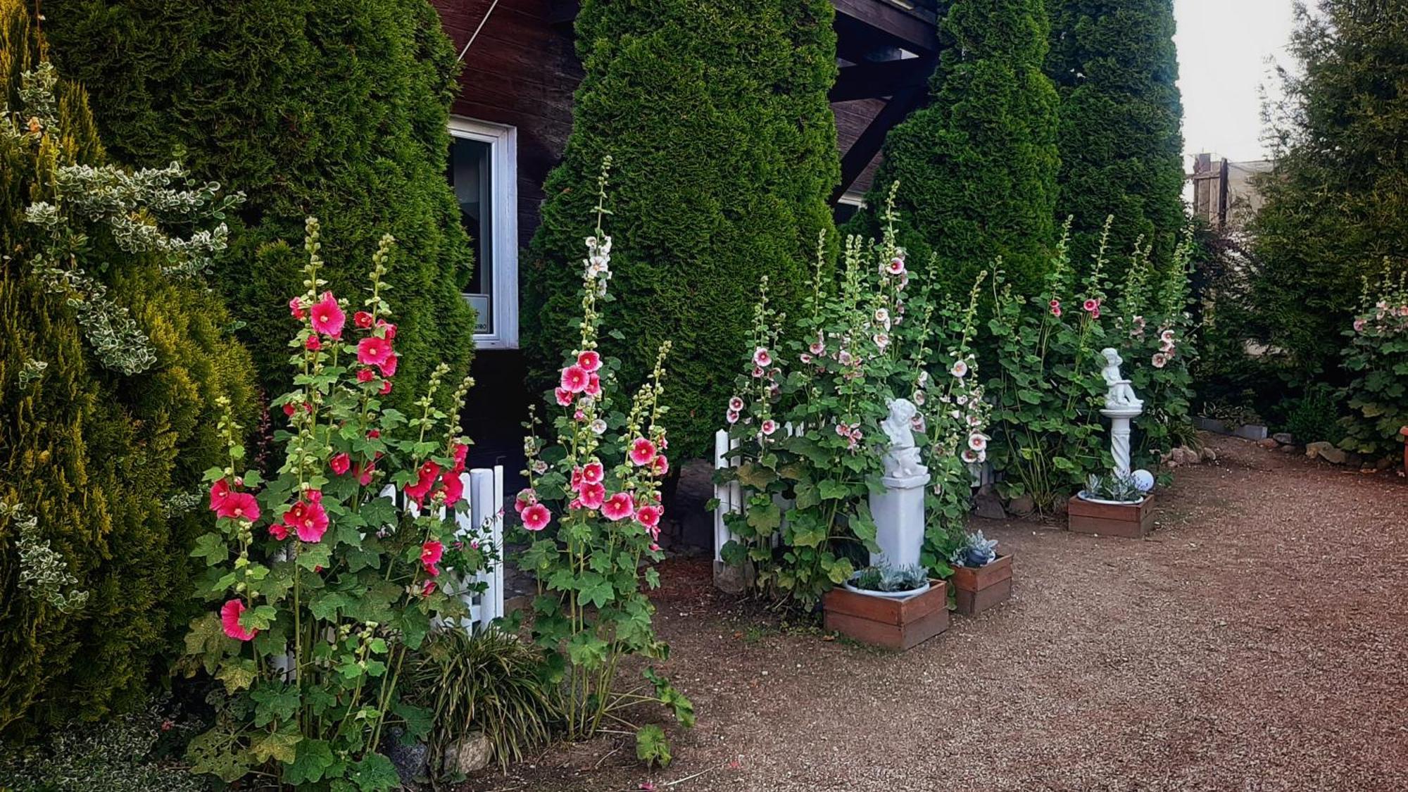 Straznica Komtura Mikołajki Exteriör bild